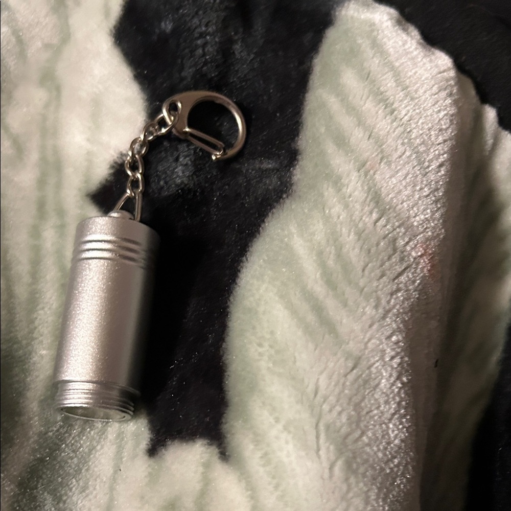 Silver Keychain clothing tag remover